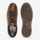 Tênis Ferracini Masculino Tabaco Wind